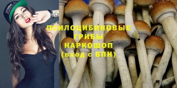 индика Нея