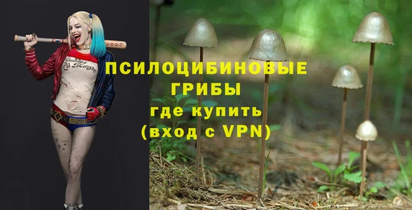 тгк Армянск