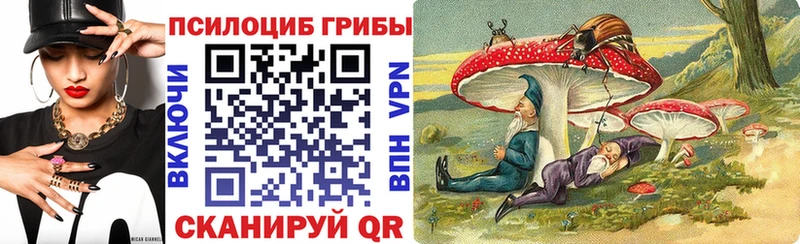 цены наркотик  Почеп  Псилоцибиновые грибы мицелий 